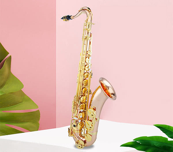 初学萨克斯乐器,乐器初学者适合学什么萨克斯