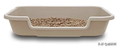 猫咪省钱好物维生素,猫咪必买的10种单品