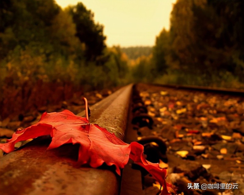 世人皆苦唯有自渡下一句是什么,世人皆苦唯有自渡配图