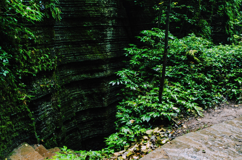 去奥陶纪的路线,梦幻奥陶纪景区路线