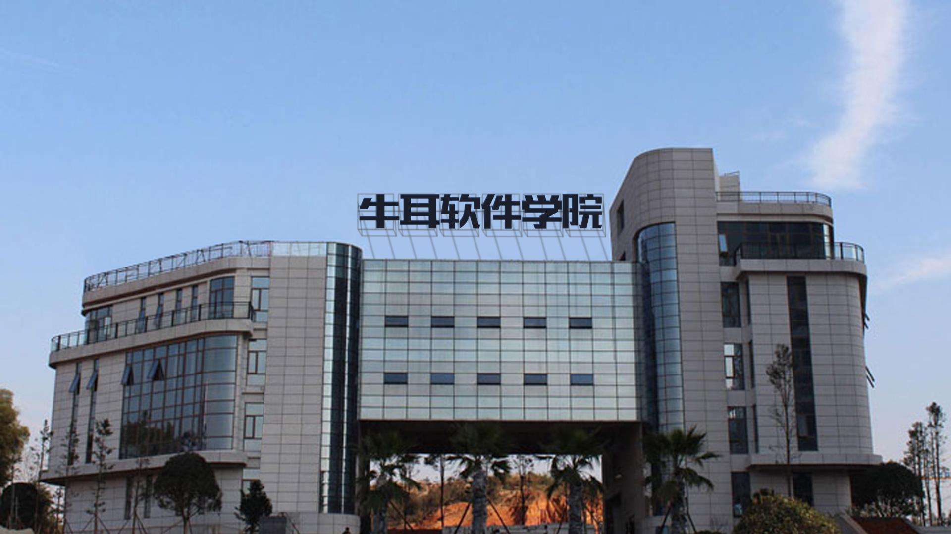 长沙牛耳软件学院教什么,牛耳软件学院有什么要求吗