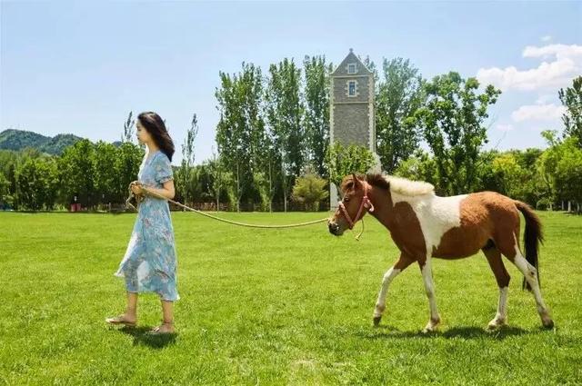 六月的弗农，上演了一幕“ShowTheirLove