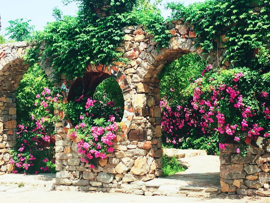 一张旅游卡可游遍20个景点,徐州市民卡旅游一卡通