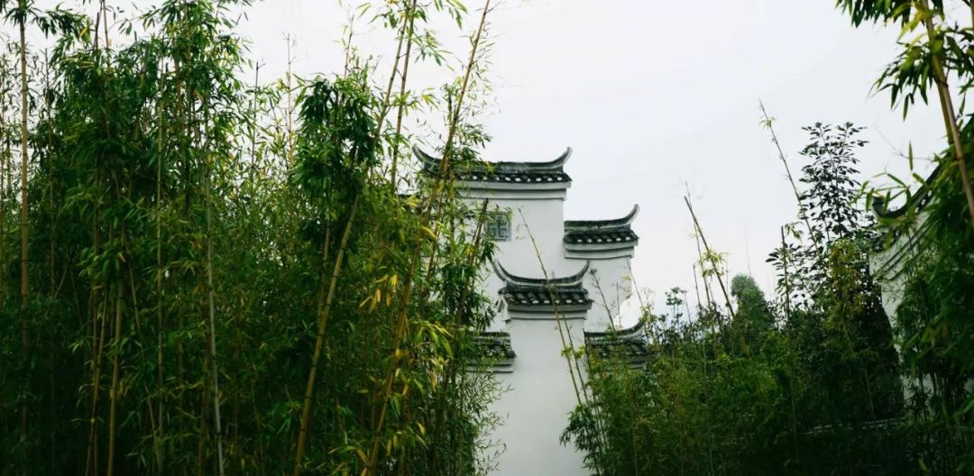 悦榕庄阳朔游漓江,都说桂林山水甲天下下一句