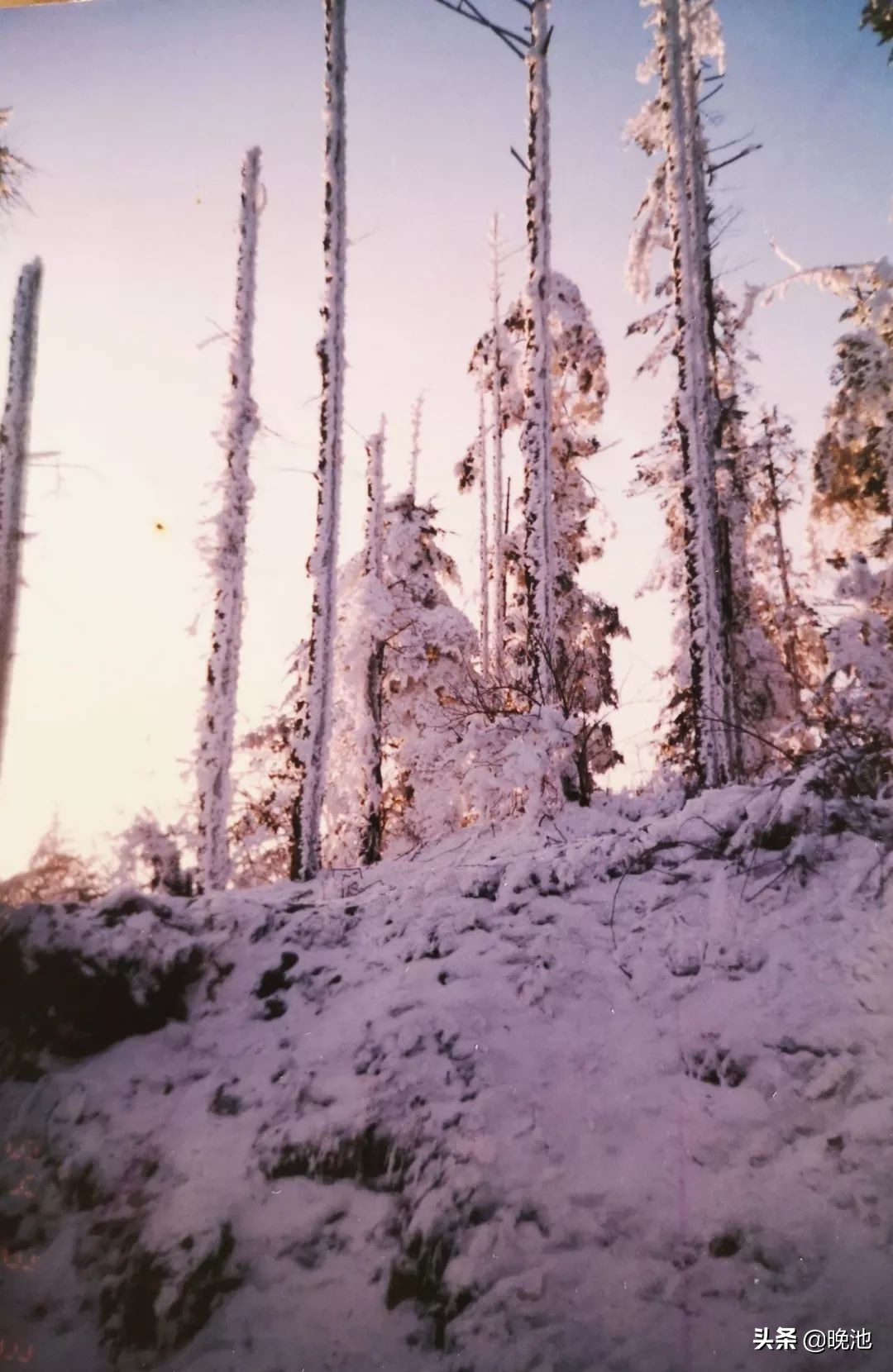 瓒崇悆閲囪鎴愰兘,瓒崇悆閲囪璁板綍