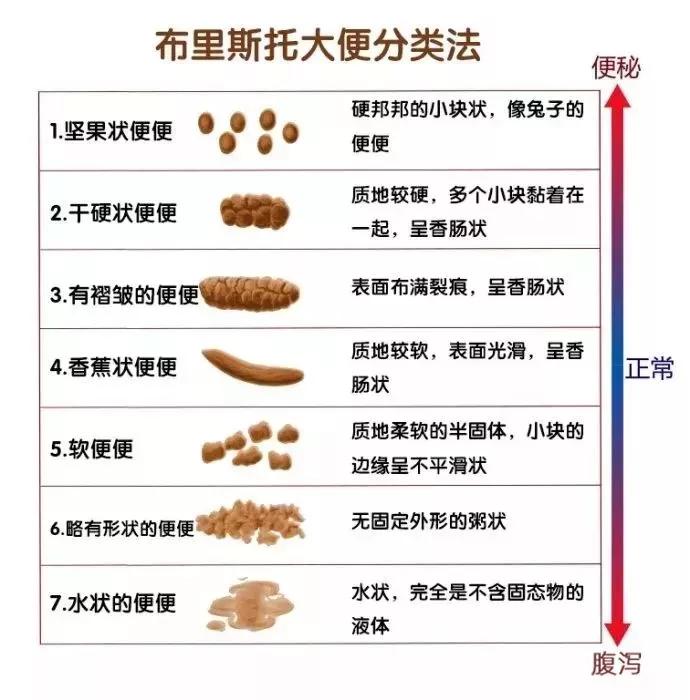 虚实夹杂便秘怎么治疗,便秘有虚实之分吗