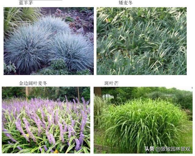 小区井盖景观美化,小区路面美化创意