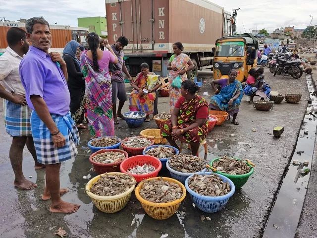 进博会印度今年有什么产品,印度人评进博会带货