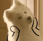 如何给文案配上好看的文字,优秀的文案写作模板