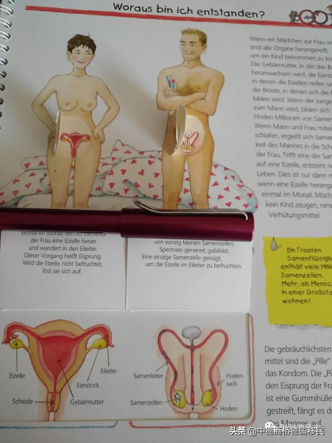 儿童性启蒙教育绘本,德国3-6岁幼儿园教育方法