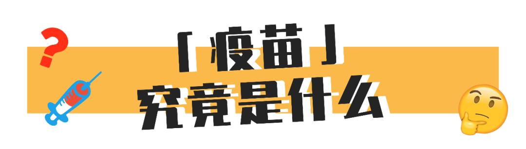 小猫打针后死了,小猫打了狂犬疫苗还会得病吗