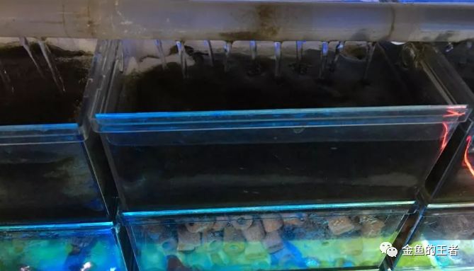 10个小技巧,简单粗暴,让过滤效率翻倍