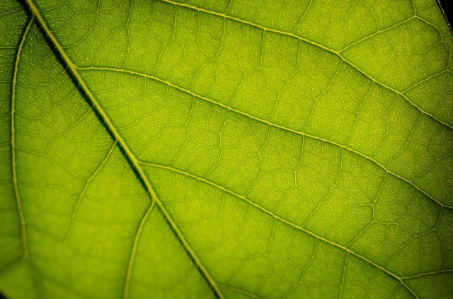 同学群让人反感,同学群有的不受待见