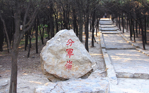 神游山东,神游九寨沟