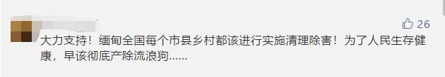 一晚毒杀19条狗狗,毒杀大批狗狗事件