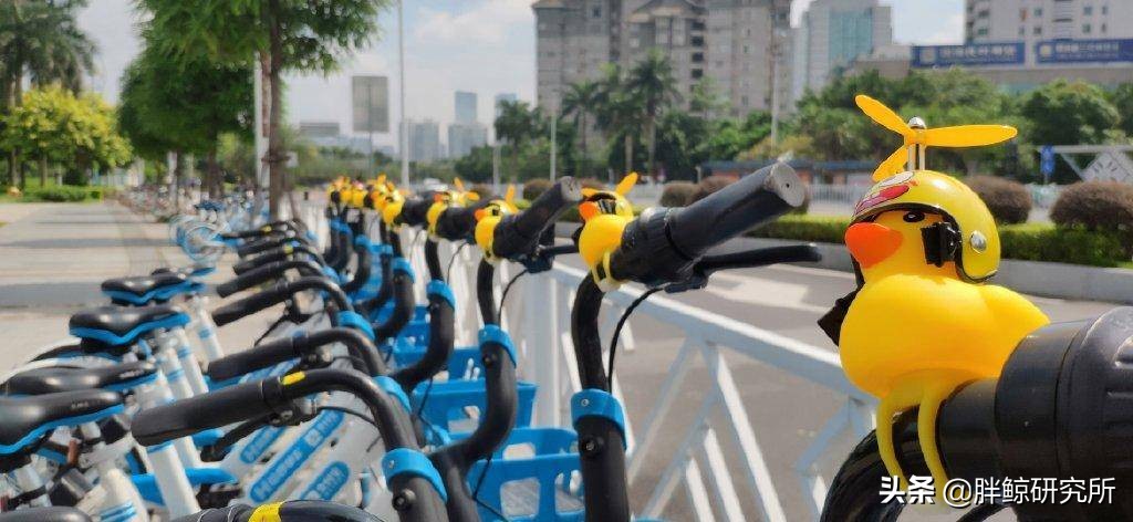 范丞丞杨颖欧阳娜娜鹿晗关晓彤,范丞丞宋茜参加的综艺是什么