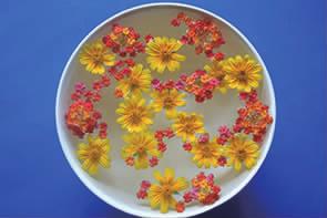 浮游花一种特别的赏花方式,赏花正确方法图片