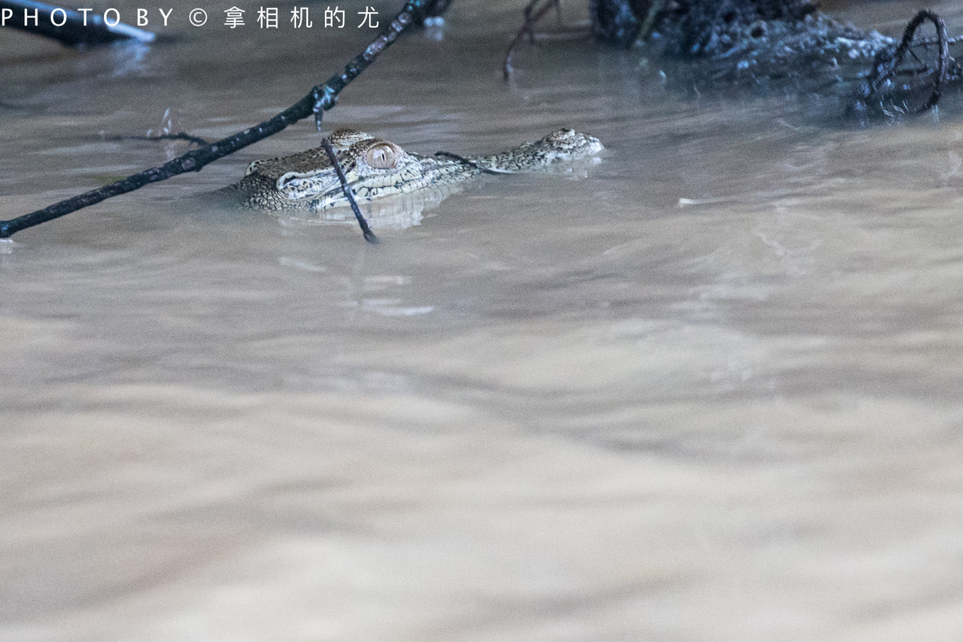 婕父瓒呬汉鏄ヨ妭鏃呮父鏀荤暐,婕父瓒呬汉鏃呮父鏀荤暐