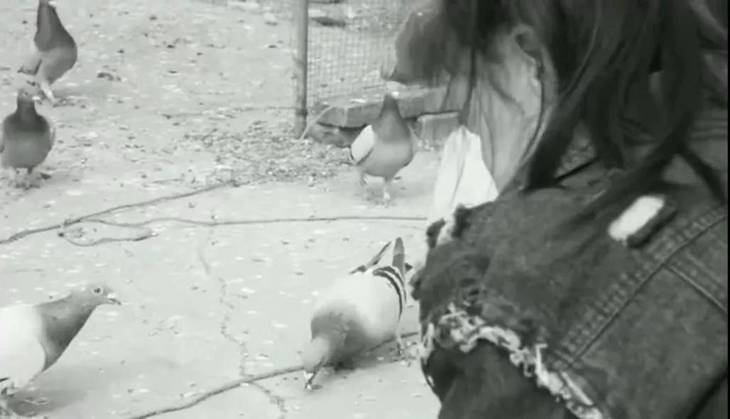 “换脸”手术22天后，辽宁“最年轻老人”重获15岁少女容貌