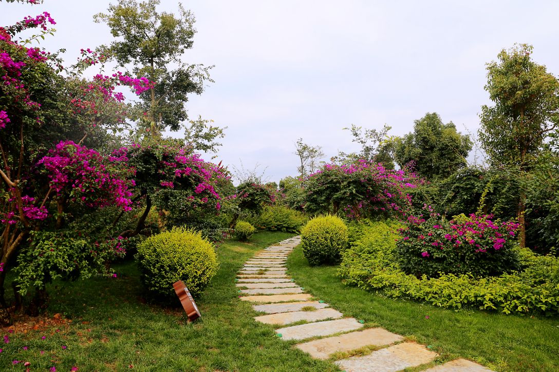 弥勒太平湖森林木屋酒店团购直播,弥勒太平湖森林木屋酒店有温泉