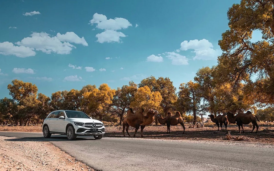 新梅赛德斯奔驰长轴距glcsuv,梅赛德斯奔驰长轴距glcsuv落地价