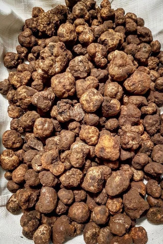 魔都意大利手工巧克力,魔都巧克力测评