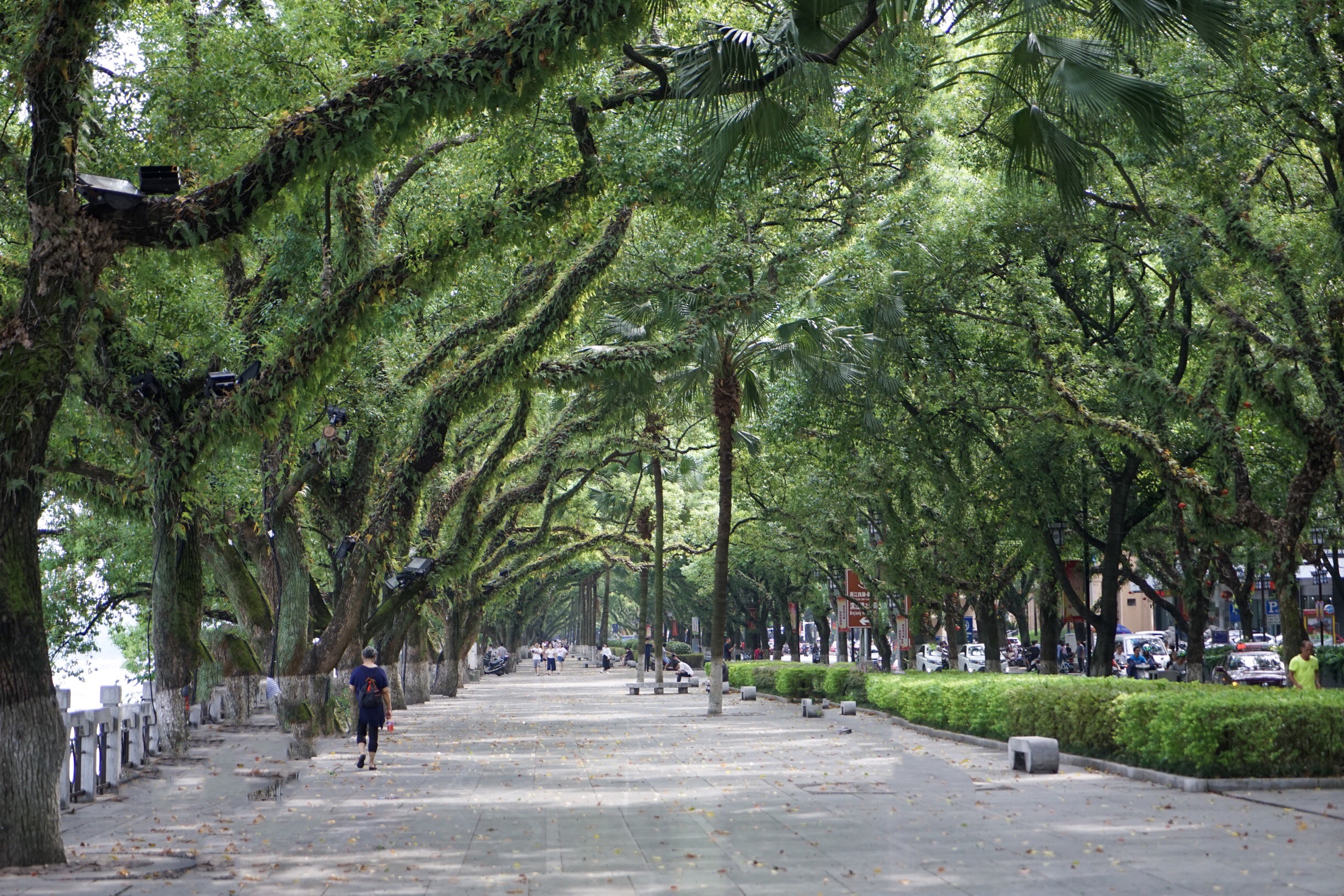 桂林三天两夜旅游龙脊梯田,桂林龙脊梯田避坑最全攻略