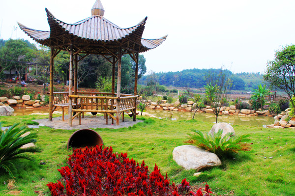 鄱湖之滨美景图,鄱阳湖之滨