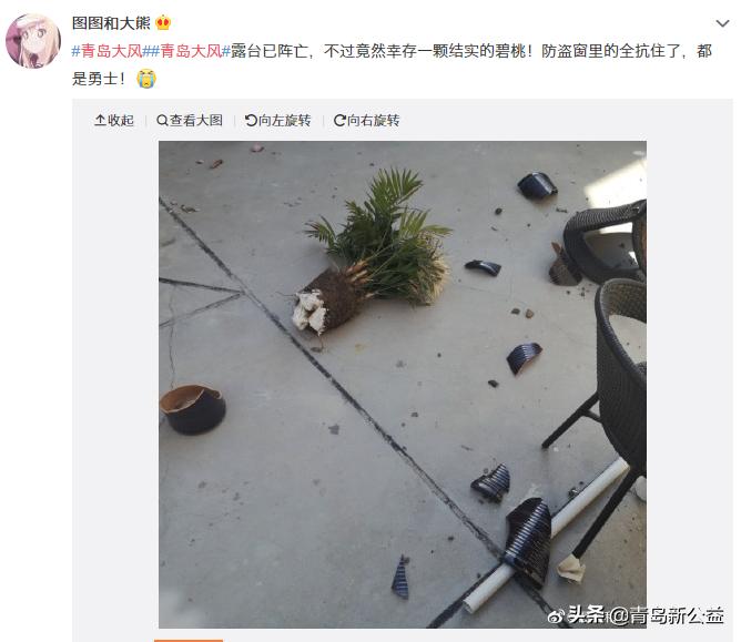 青岛今天风力几级,青岛市气象局大风蓝色预警