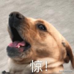 老公最初为什么是对太监的称呼,老公最初在古代是太监的称呼