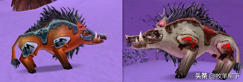 魔兽怀旧服猪学什么技能,魔兽怀旧服野猪宝宝可以学习撕咬吗