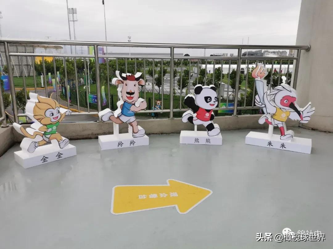 我与全运会的故事,我和校运会的故事作文