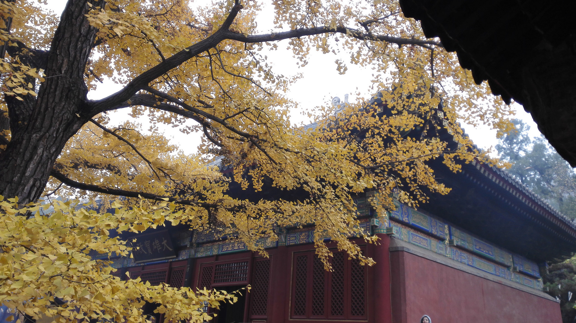 北京的海拔,北京高海拔景点排名前十名有哪些