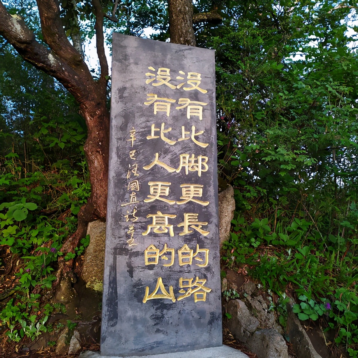 中专生富士康,一个本科生在富士康当普工的经历