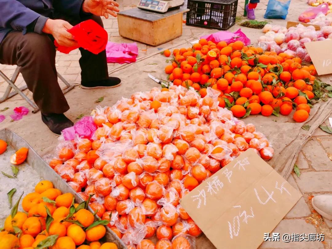 廊坊杨税务集市,在早市遇见久违的人间烟火气