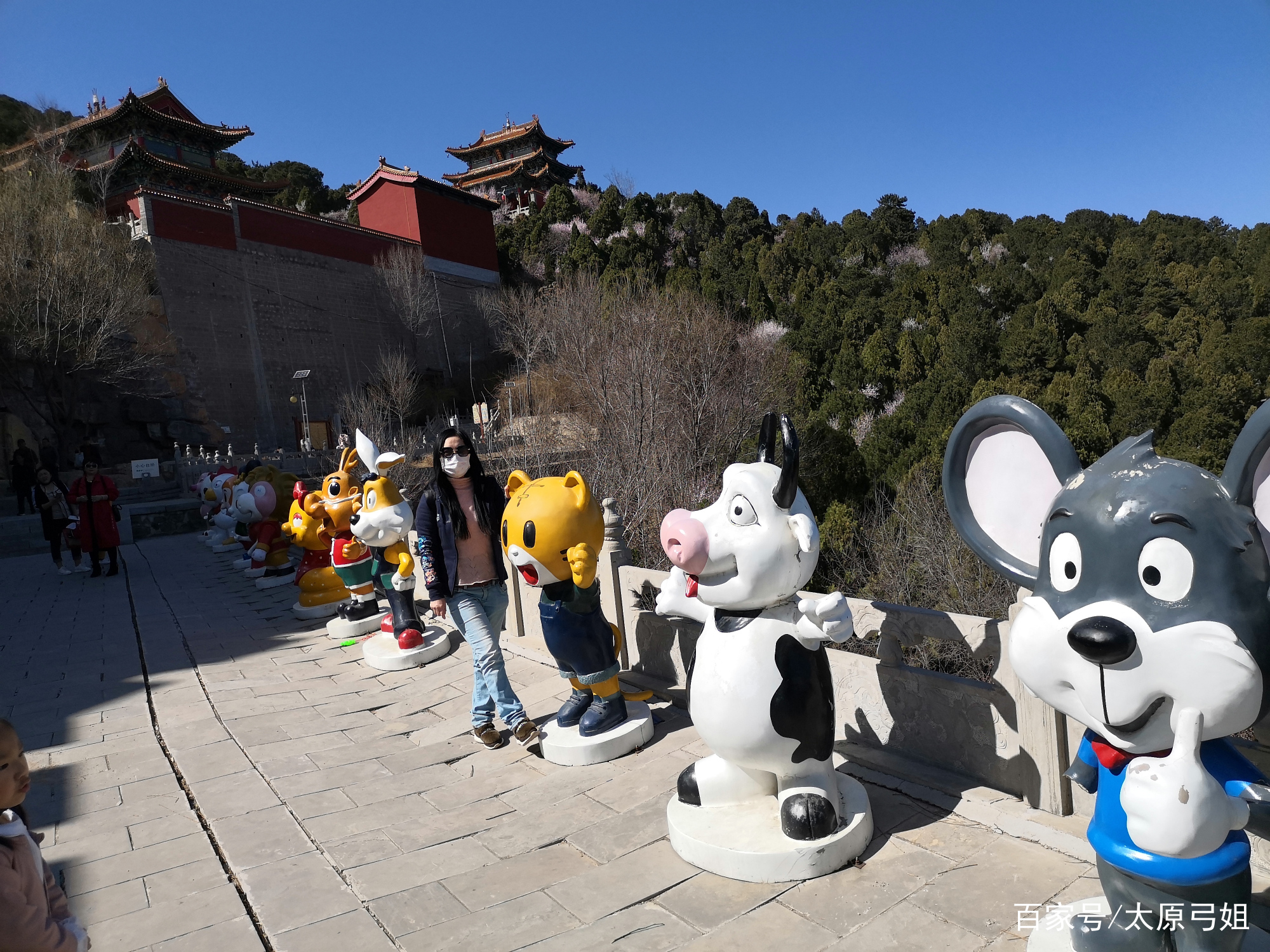 乌金山欢乐谷大马戏和森林公园,乌金山森林公园儿童项目