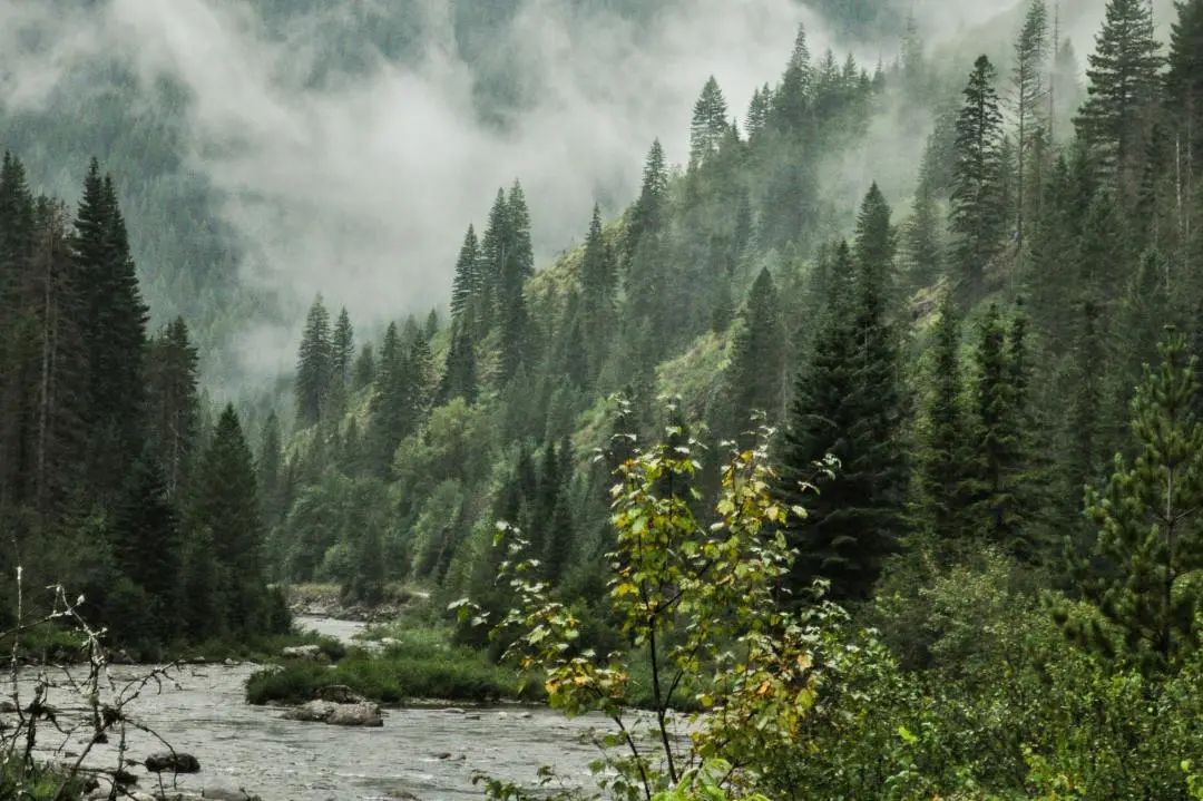拍摄相机镜头起雾,冬天出去拍照怎么防止镜头起雾