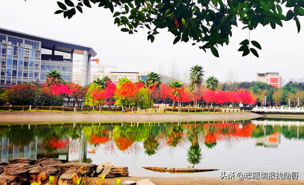 五院四系的法学排名,读法学要不要去五院四系为什么