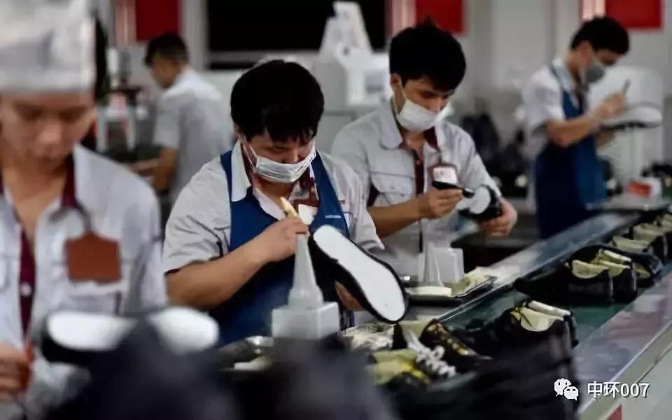 现在的富贵鸟是怎样的,富贵鸟知识大全