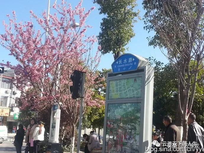 成都丽江大理自驾,昆明大理丽江自驾攻略