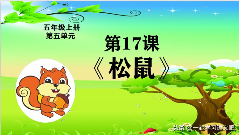松鼠课堂笔记五年级思维导图,五年级上册17课松鼠思维导图