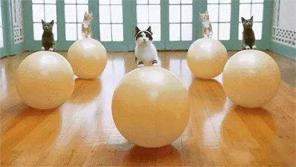 瑜伽一对一私教靠谱吗,深圳瑜伽私教男老师一对一