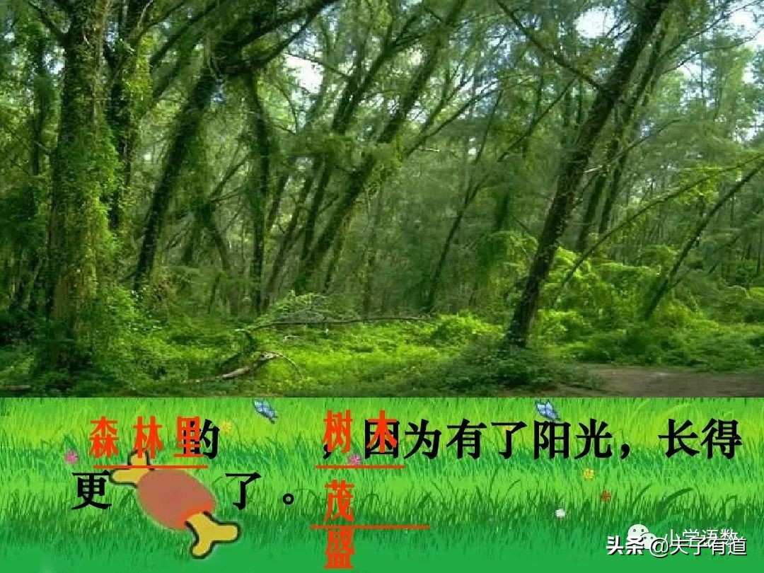 一年级语文下册语文园地二展示台,部编版一年级下册语文园地二练习