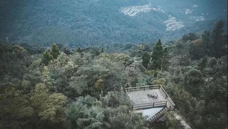 成都民宿推荐青城山,青城山花娟树屋民宿