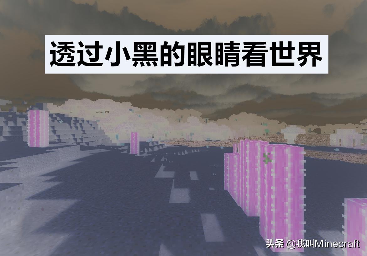 我的世界末影人击杀小黑,我的世界末影人小黑图片