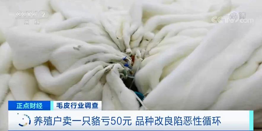 卖皮草最好年份,买皮草什么时候最优惠价格