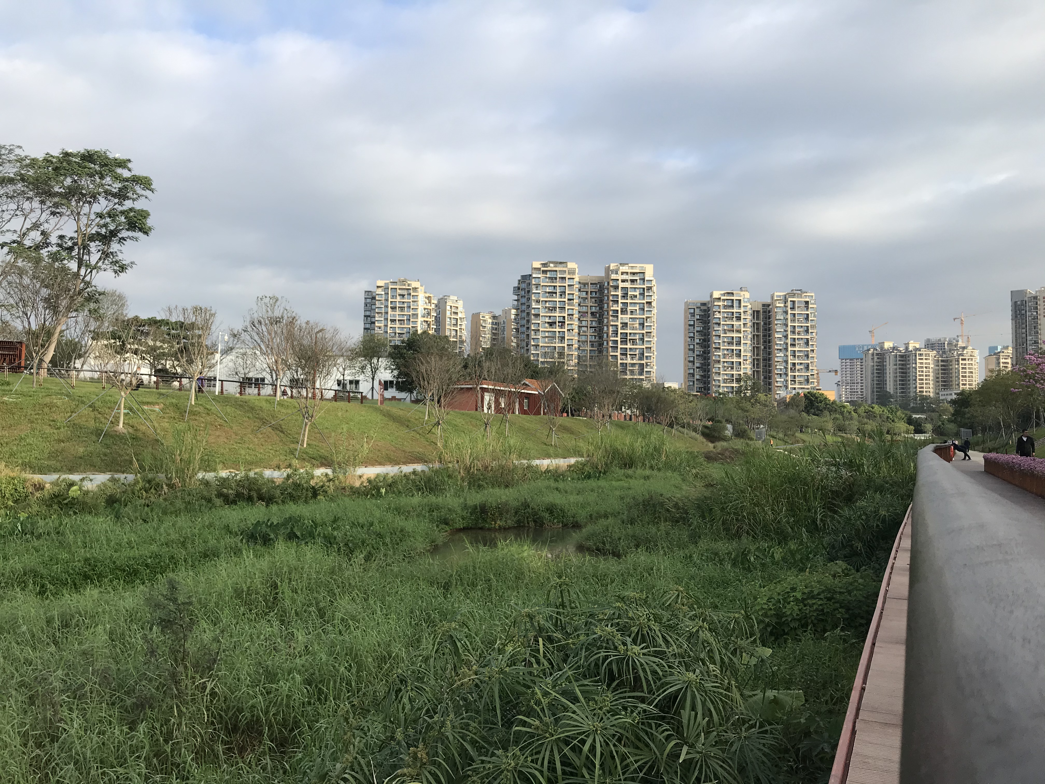 今年建议买啥苹果手机,今年推荐买电脑吗