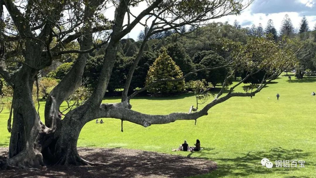 电气工程师入门课程,电气工程师都是怎样入门的