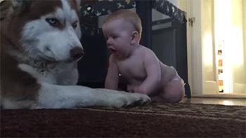 大姐gif搞笑图片,搞笑表情真人动图大全