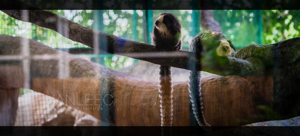 泰旅局发布2019年泰国旅游新玩法,曼谷漫游攻略